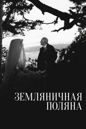 Земляничная поляна