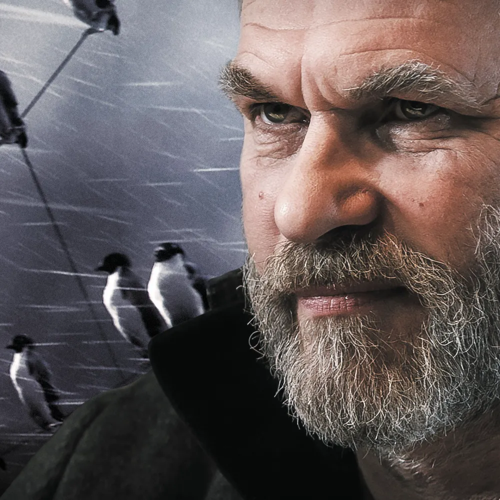 Пингвин нашего времени