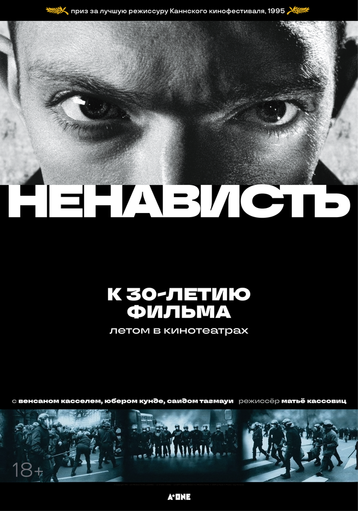 Постер Ненависть