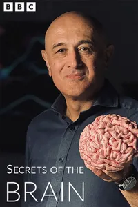 Секреты мозга (2025)