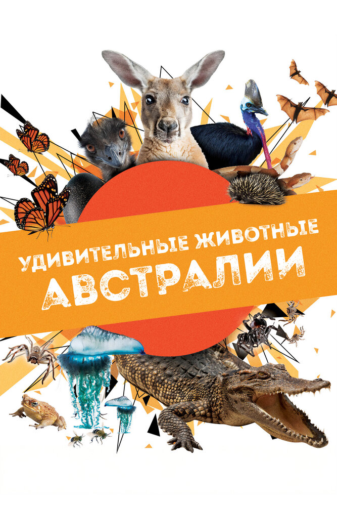 Постер Удивительные животные Австралии