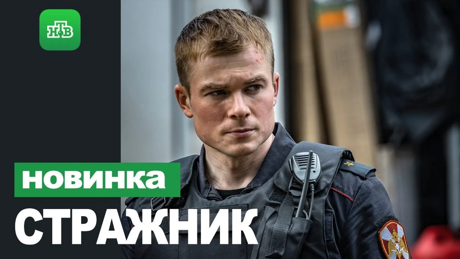 Стражник