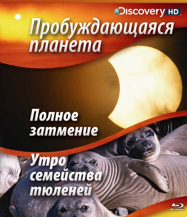 Постер Пробуждающаяся планета