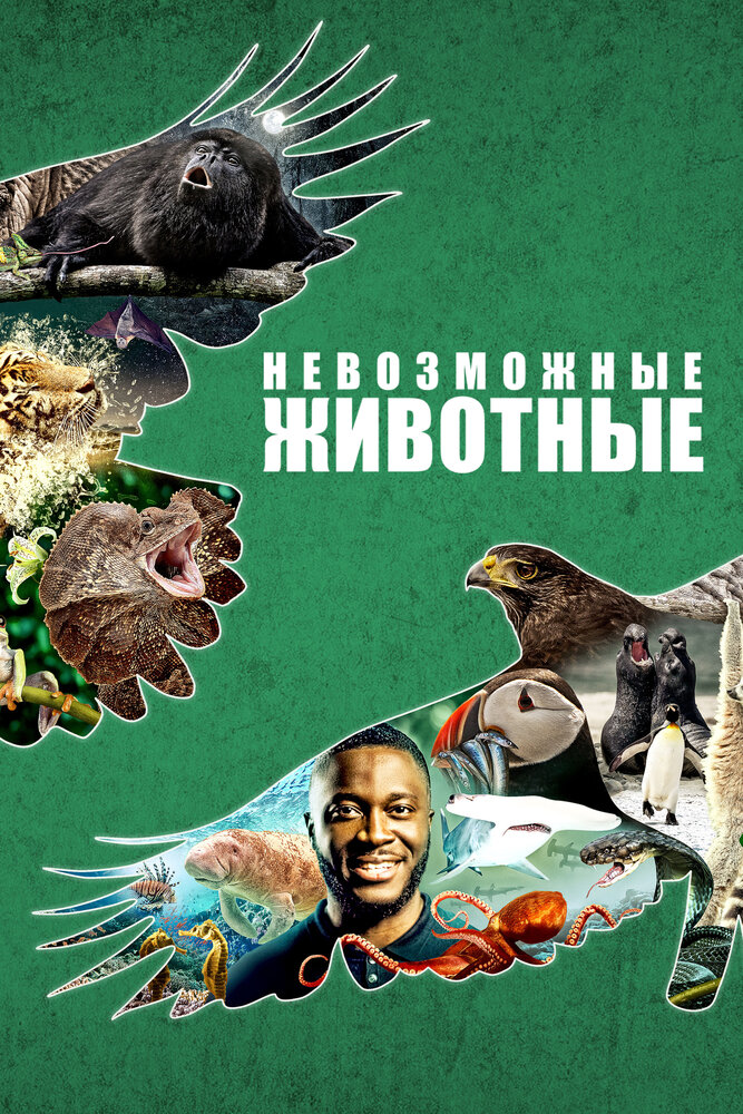Постер Невозможные животные