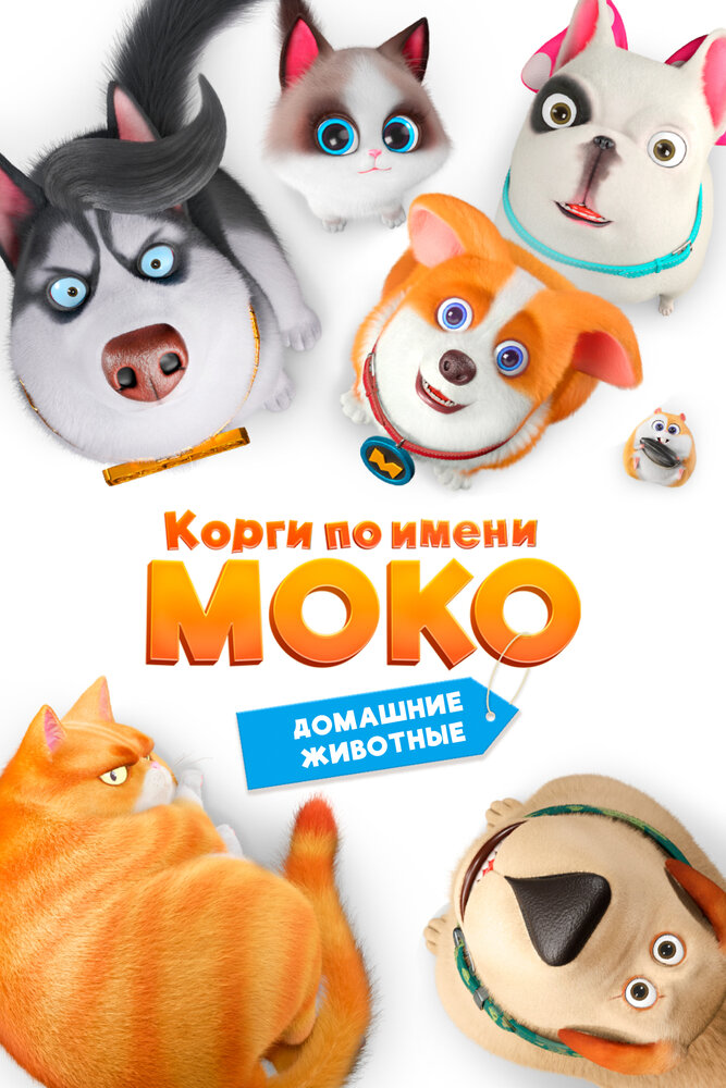 Постер Корги по имени Моко. Домашние животные