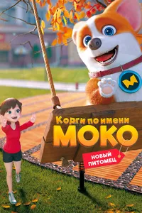 Корги по имени Моко. Новый питомец