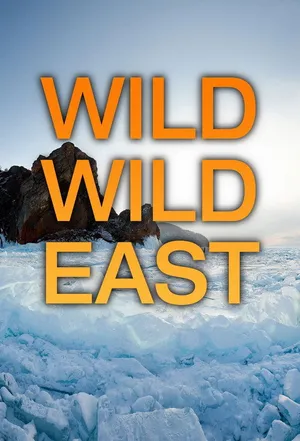 Дикий, дикий восток